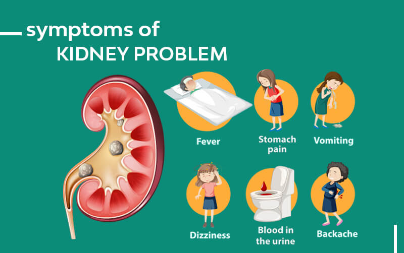 what are the types of blood test, kidney function test