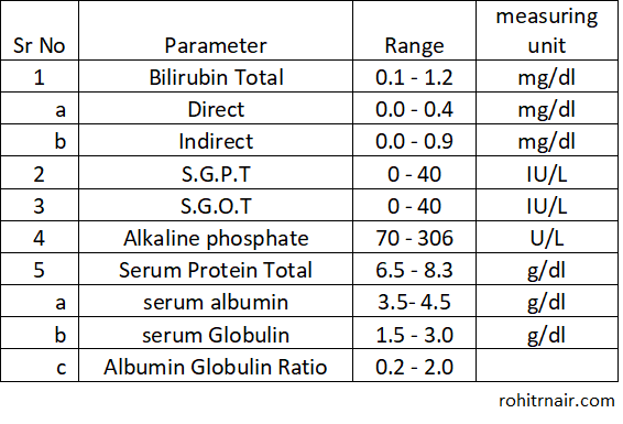 what-are-liver-function-tests-fatty-liver-guide